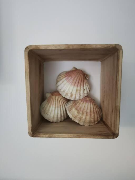 Ocalme, Ideal A 2, Jardin, Plage Bréhal Екстериор снимка